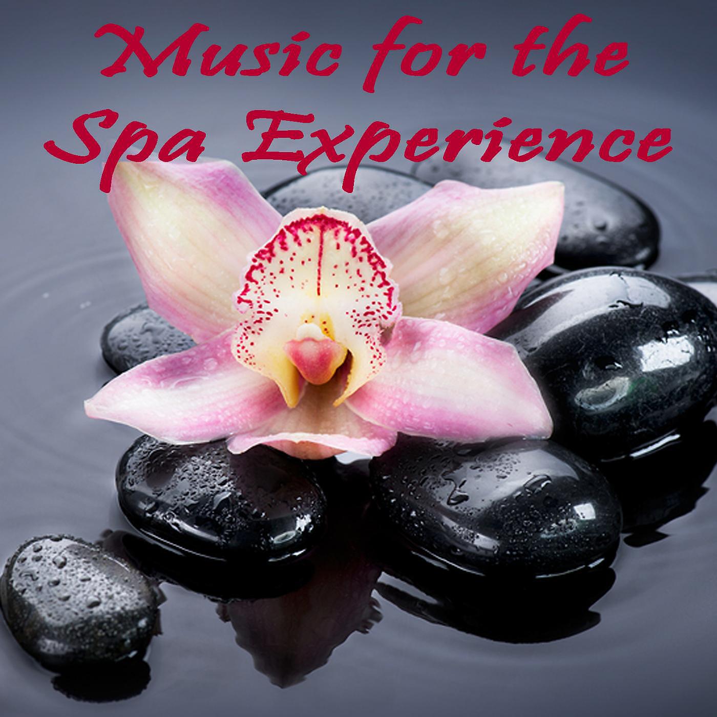 Best Relaxing Spa Music, Massage Music & Spa Relaxation & Spa - My Love (Instrumental Version)