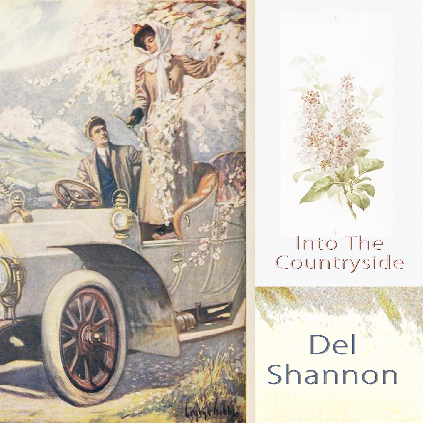 Del Shannon - The Search