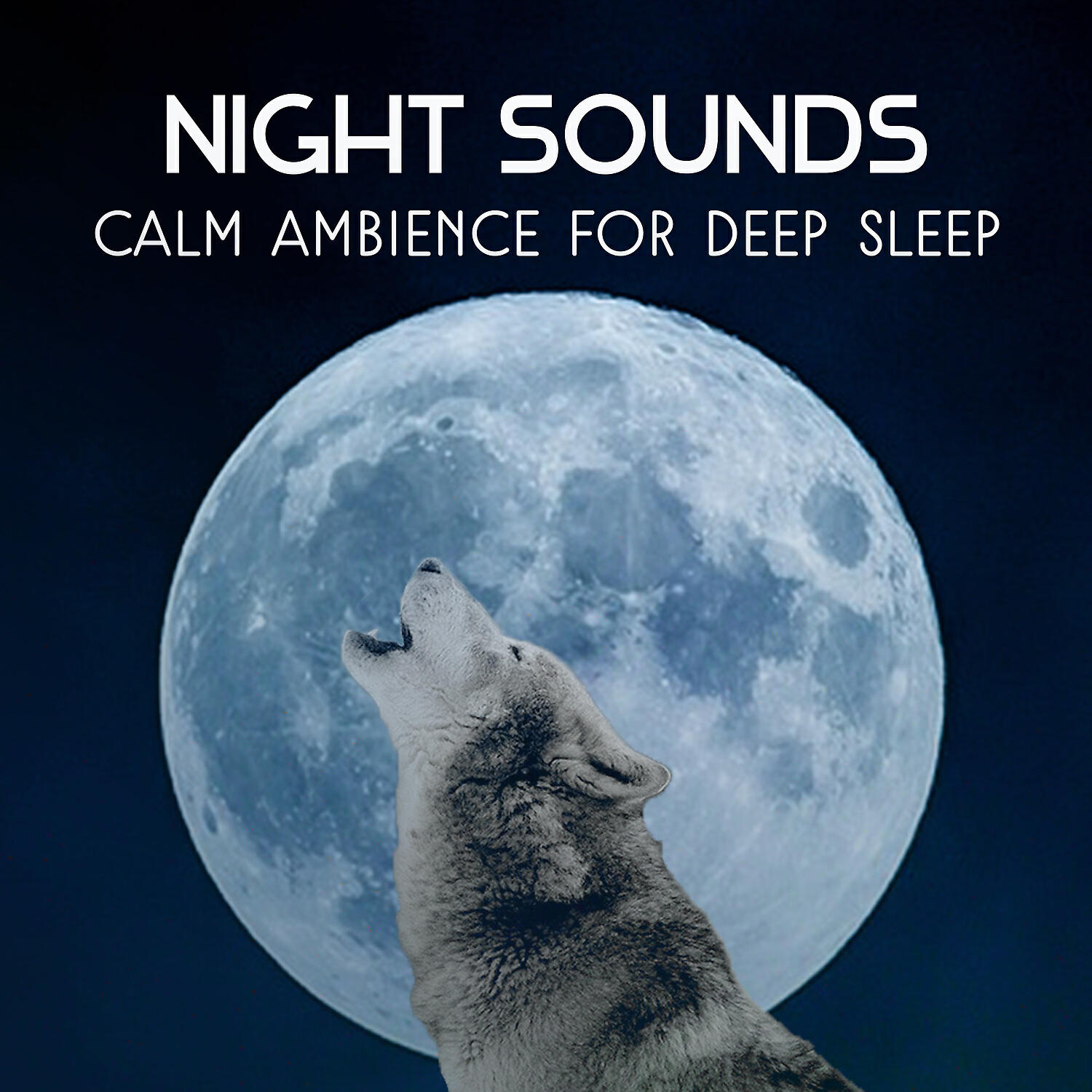 Deep Sleep Sanctuary - Foggy Shadows on Your Mind
