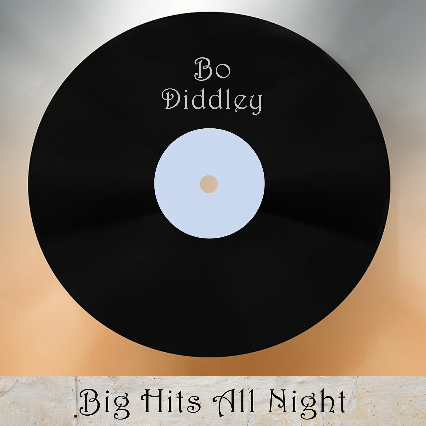 Bo Diddley - Diddley Daddy