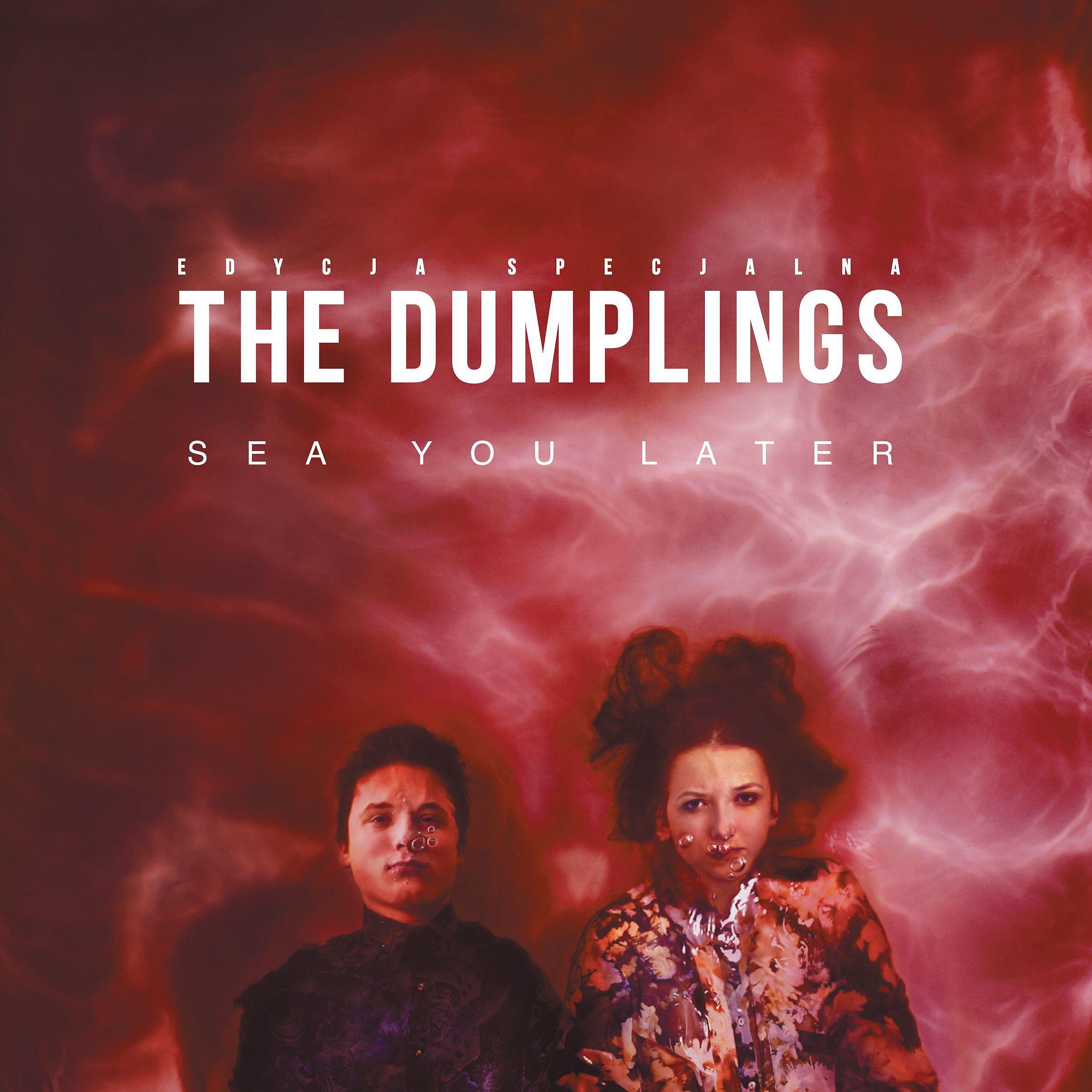 The Dumplings - Nightmare