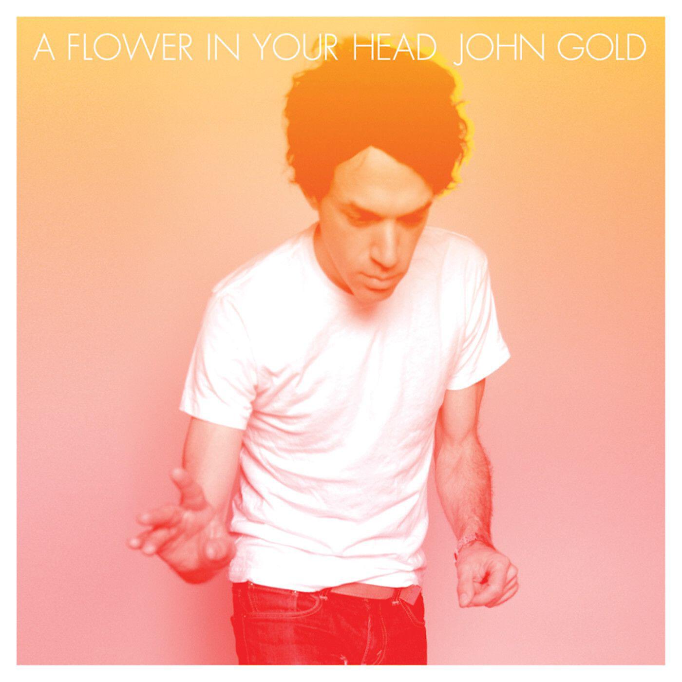 John Gold - The Loop
