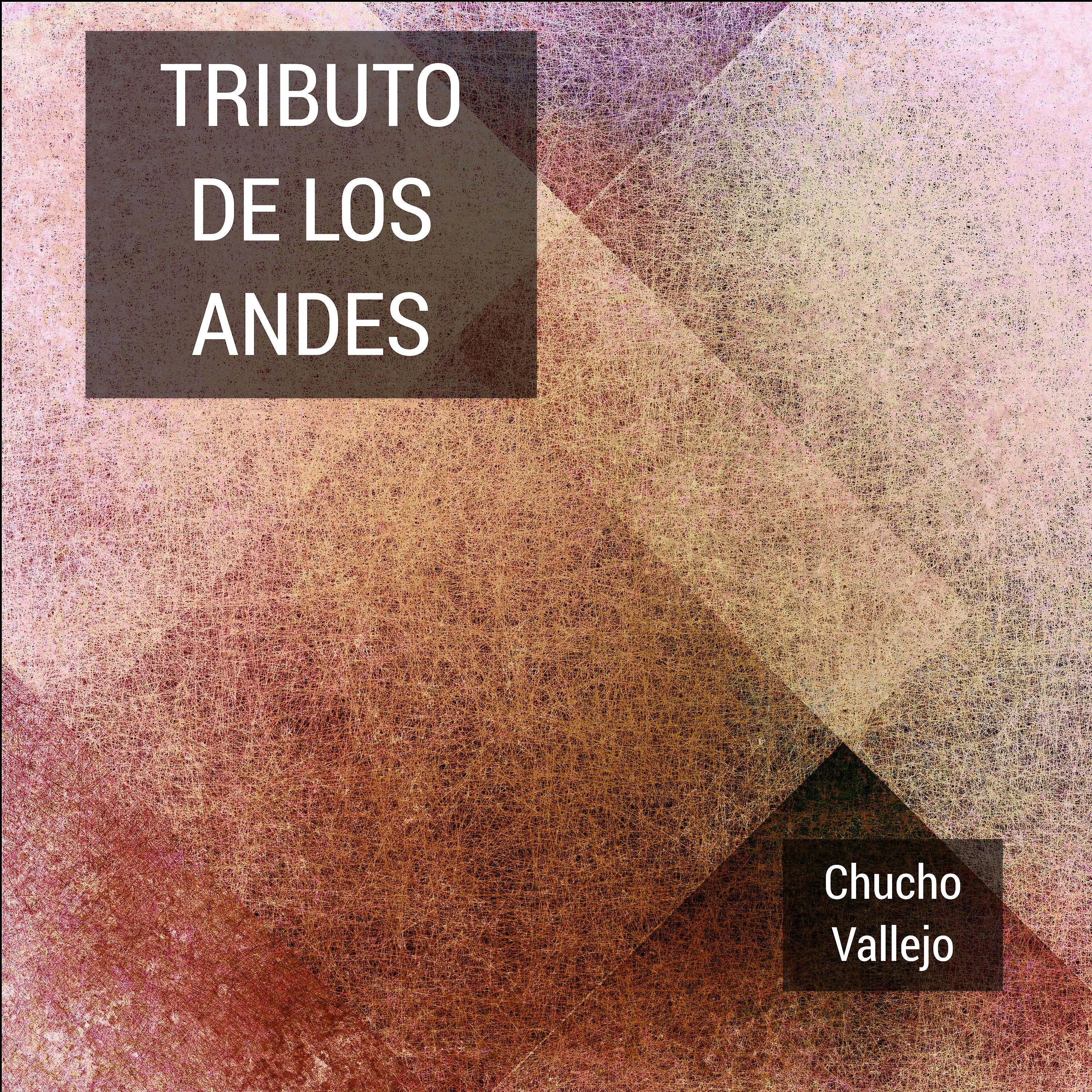 Chucho Vallejo - Ponchito De Colores