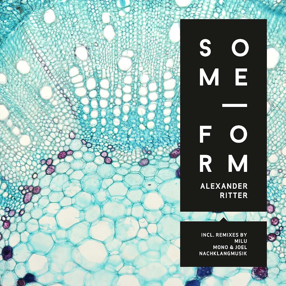 Alex Ritter - Some Form (Mono & Joel Remix)