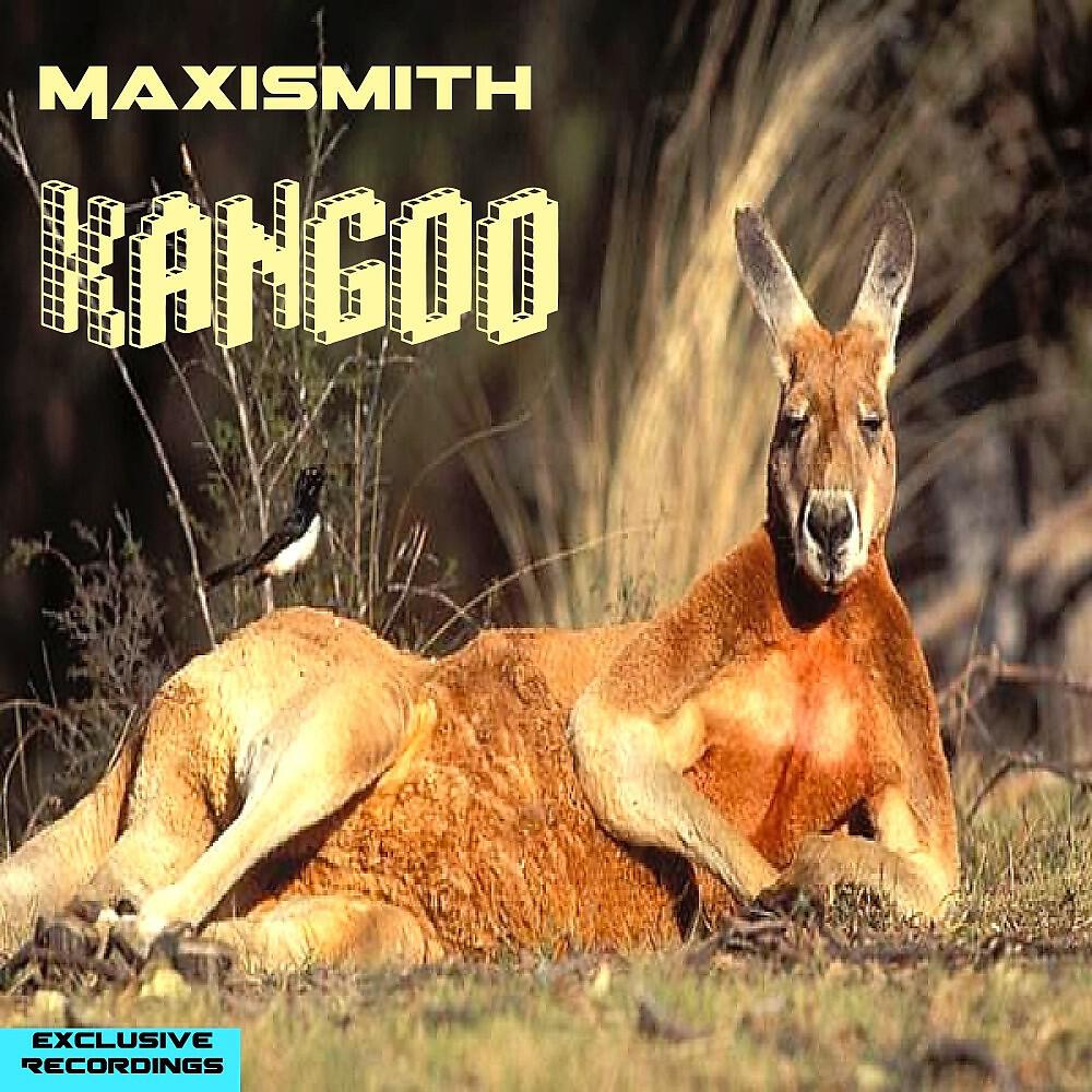 Maxismith - Kangoo