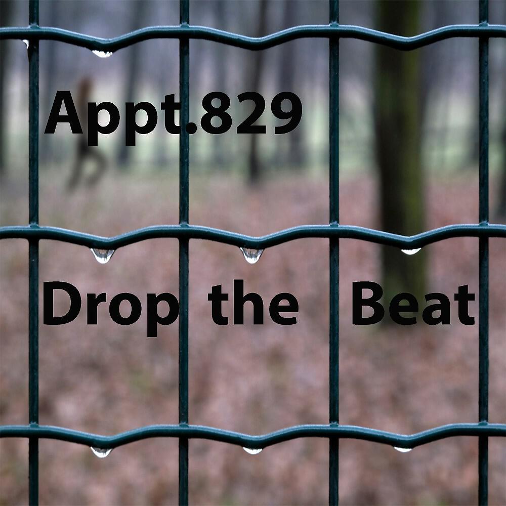 Appt.829 - Drop the Beat (Mr Paint Remix)