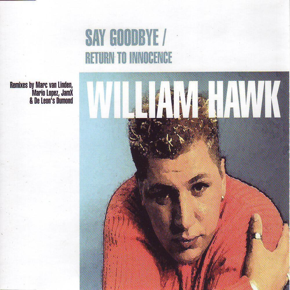 William Hawk - Say Goodbye (Radio Cut)