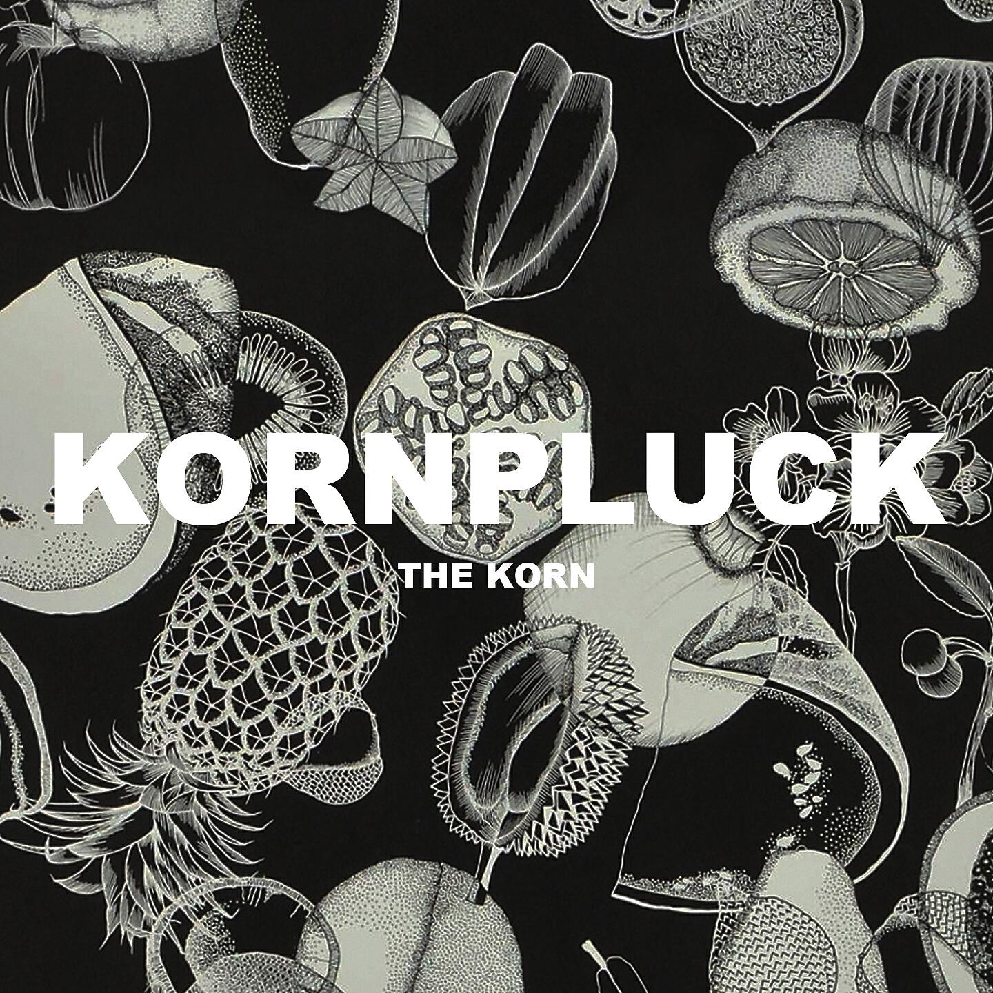 Kornpluck - Absorptive