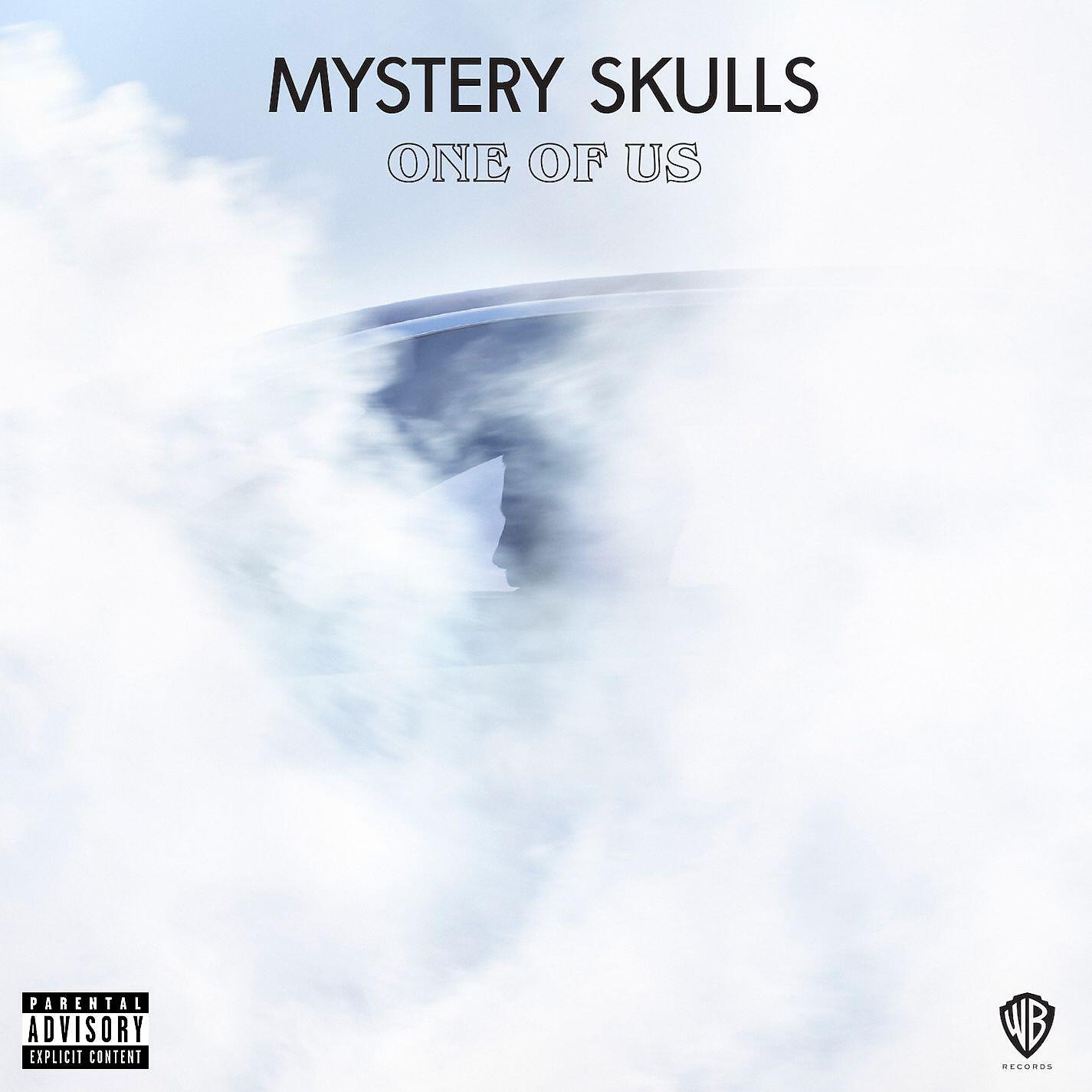 Mystery Skulls - Erase Me