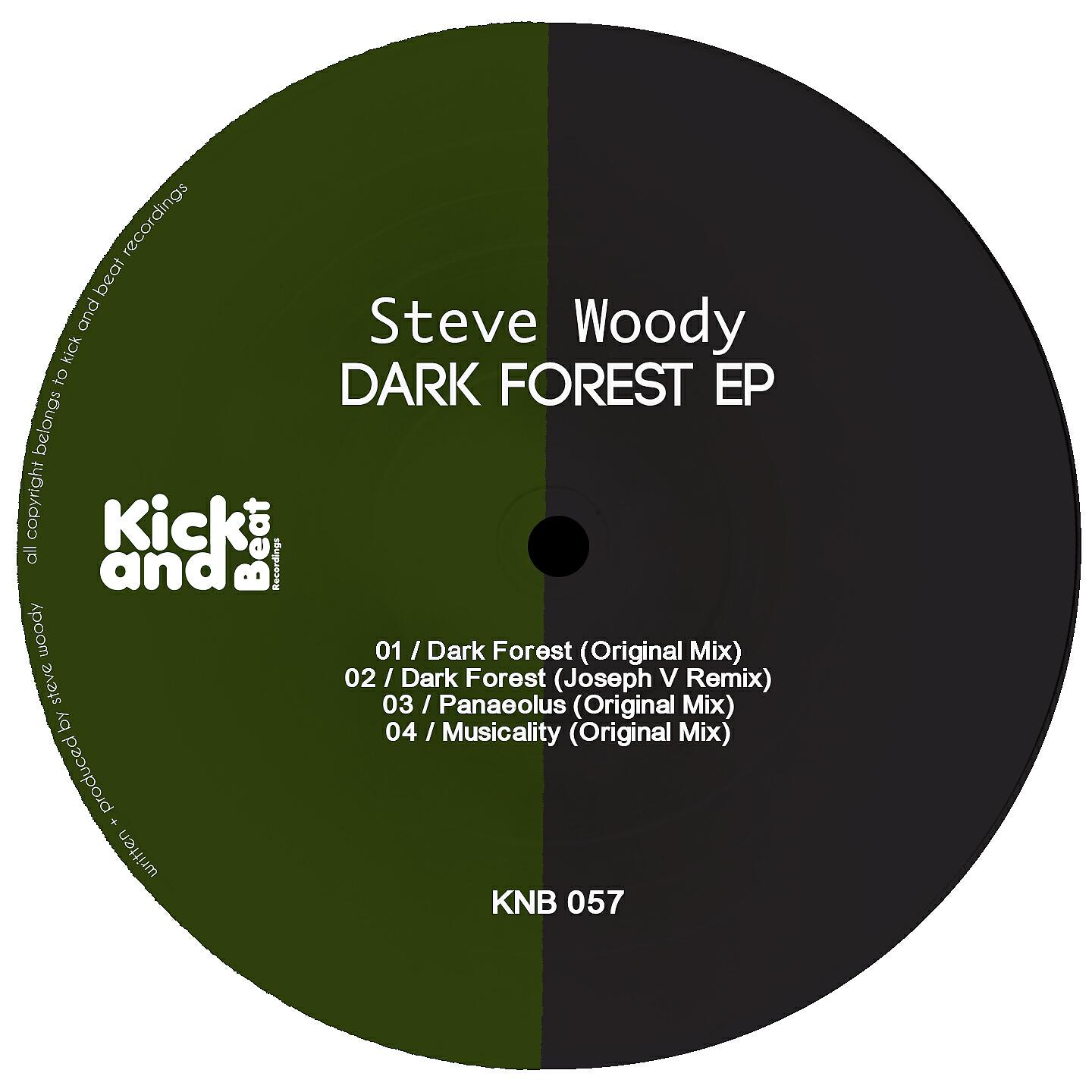 Steve Woody - Dark Forest