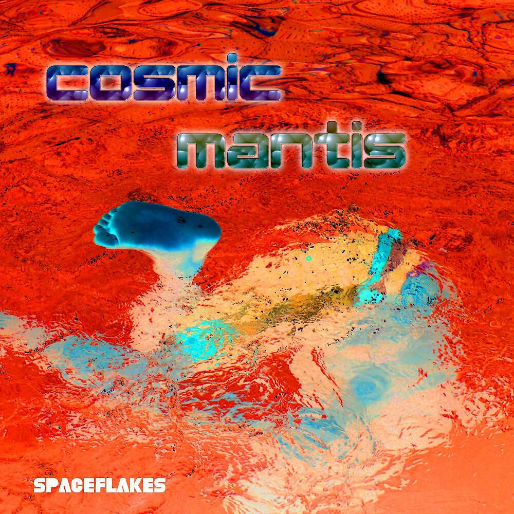 Cosmic Mantis - Yearning
