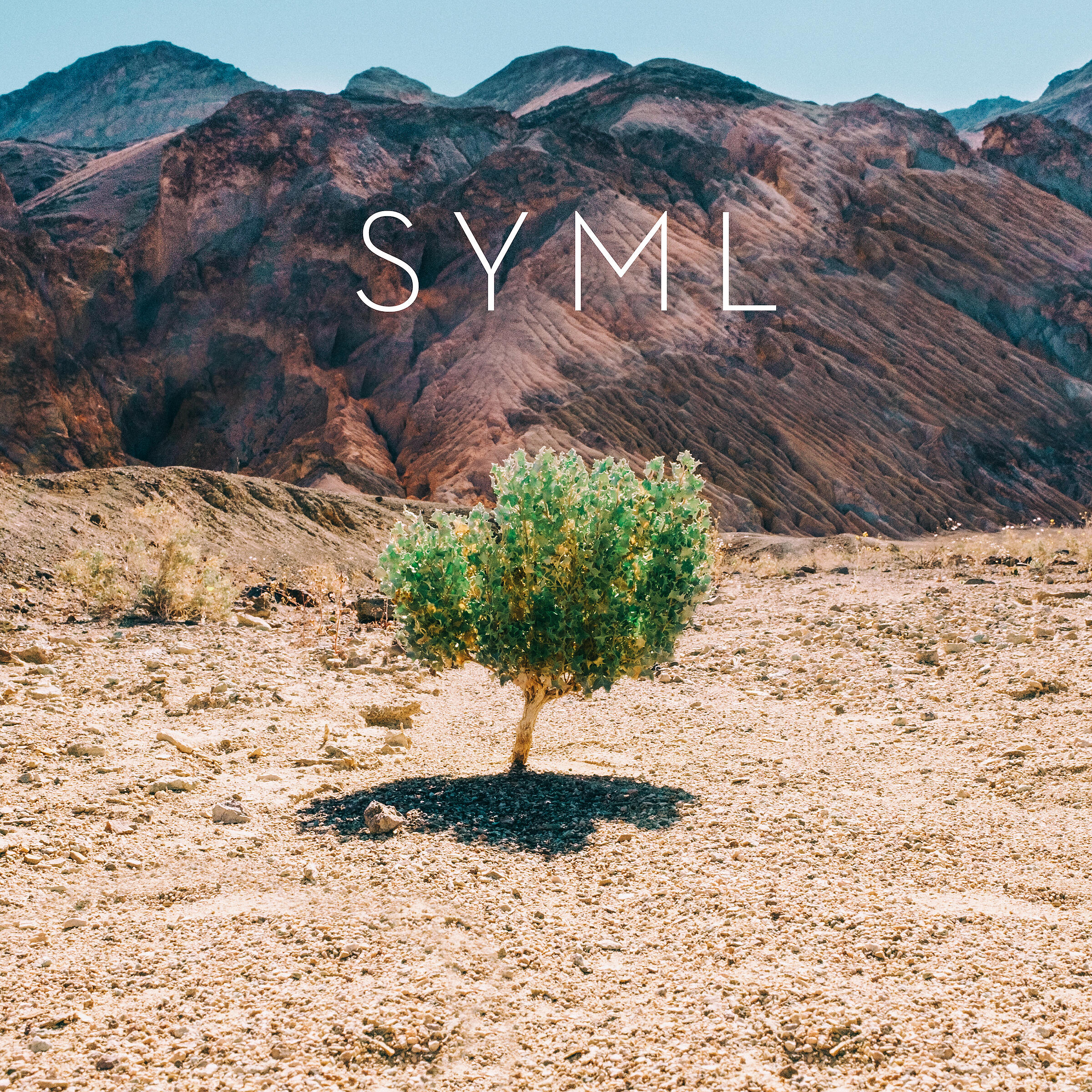 SYML - Body