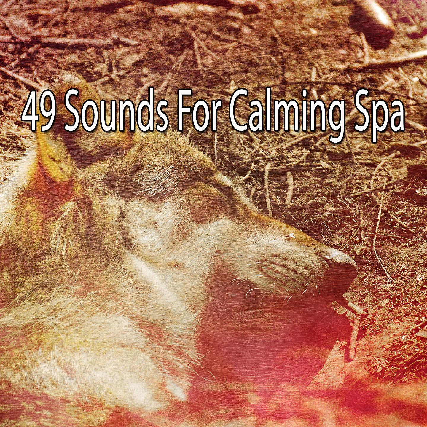 Best Relaxing SPA Music - Relaxing Hum