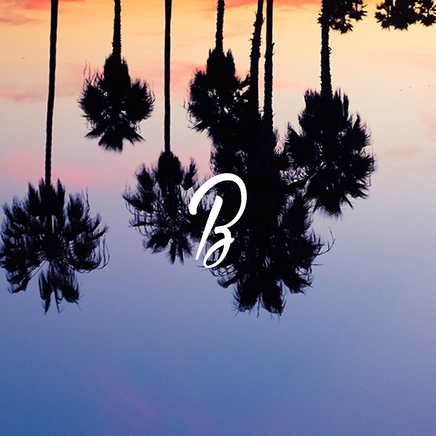 Blunted Beatz - DR. Feelgood