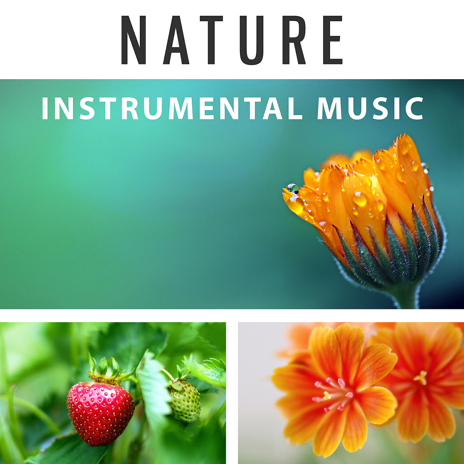 Nature Sounds Relaxation: Music for Sleep - Golden Shores