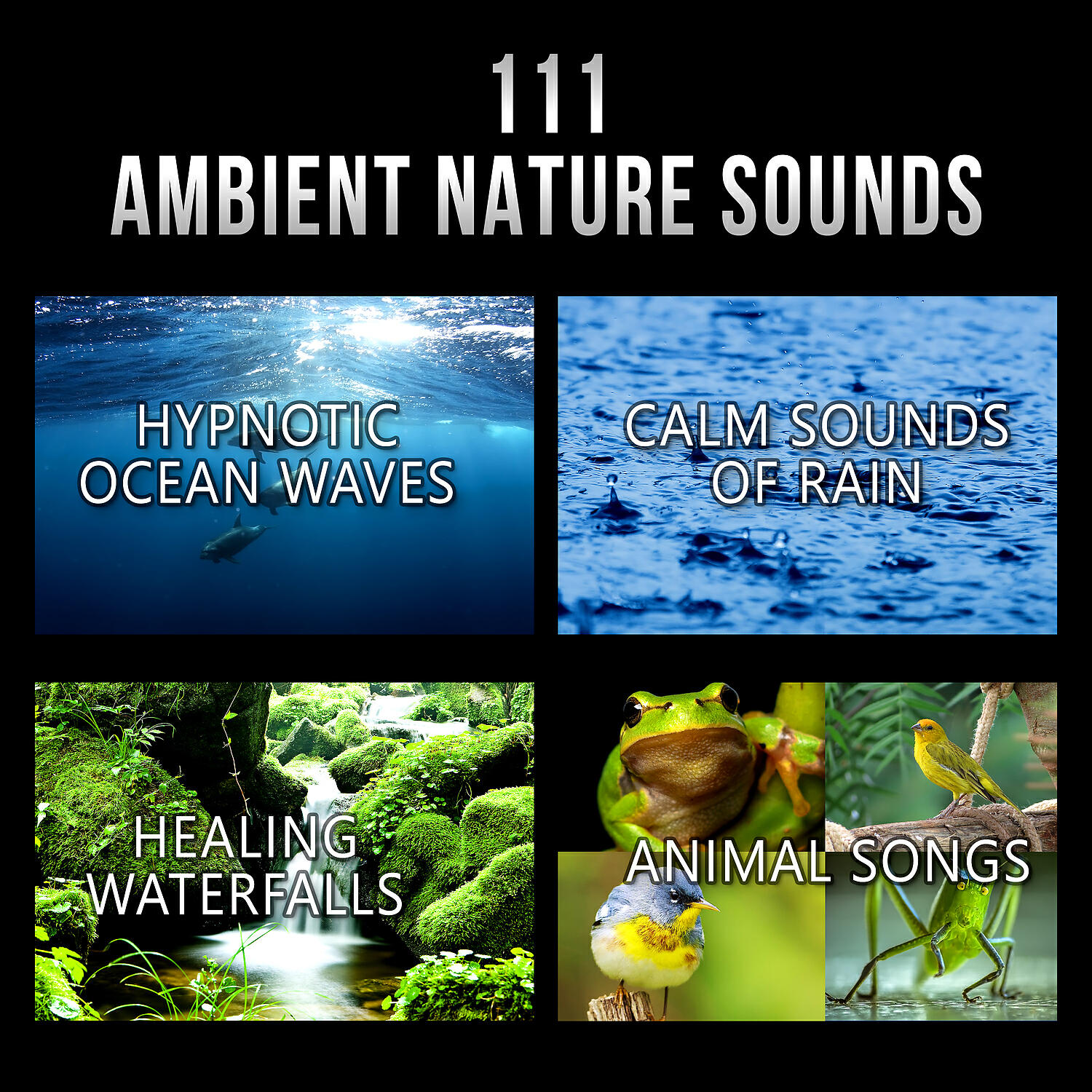 Healing Rain Sound Academy - The Spirit of Yoga for Healing