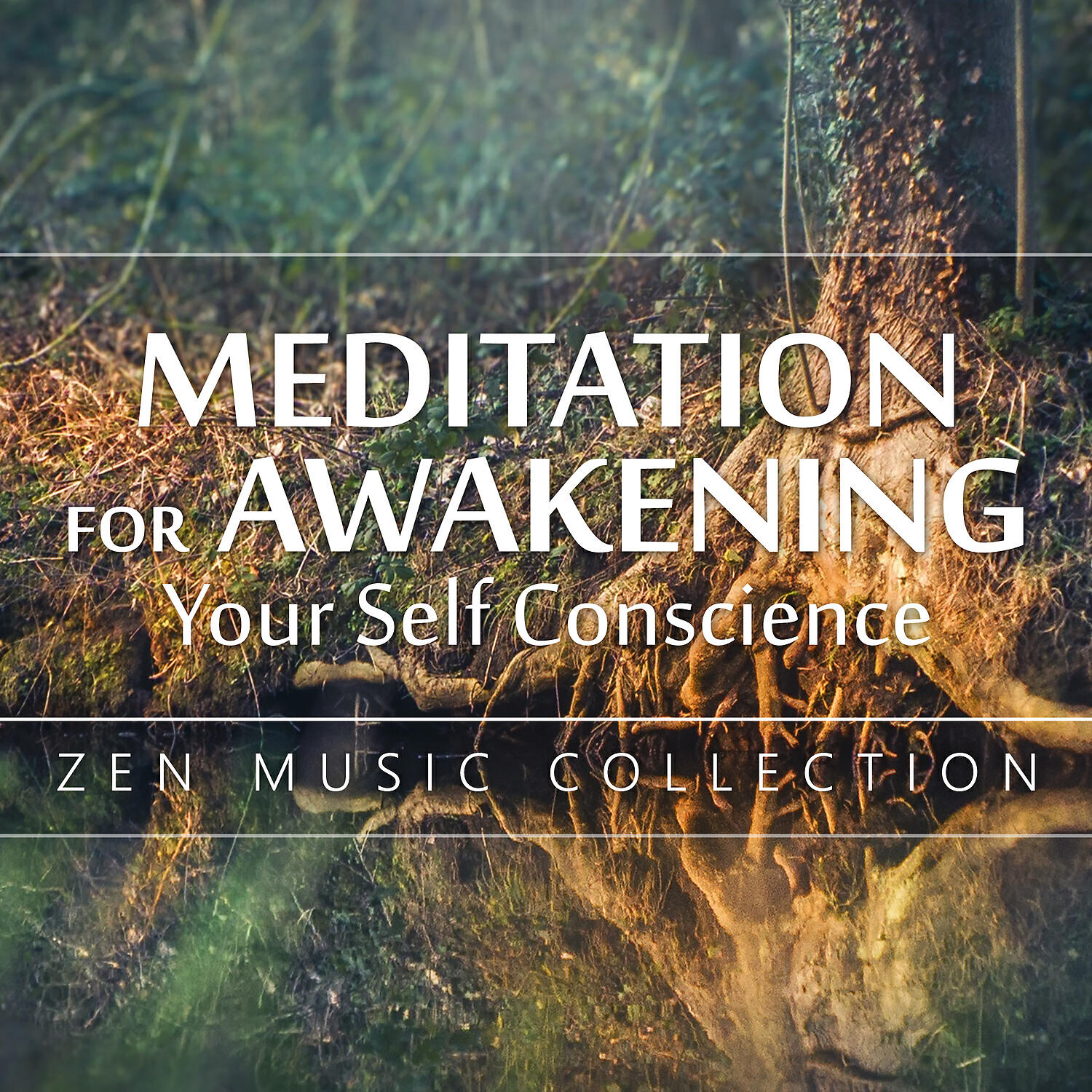 Guided Meditation Music Zone - Tropical Forest Music