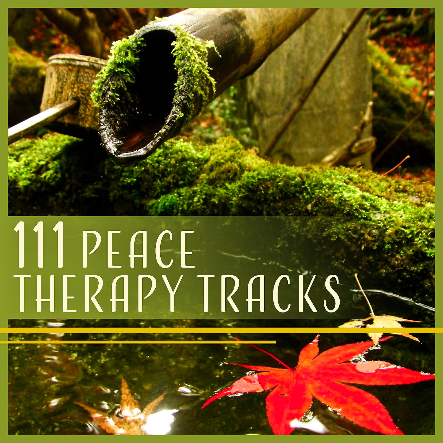 Healing Power Natural Sounds Oasis - Music for Inner Peace