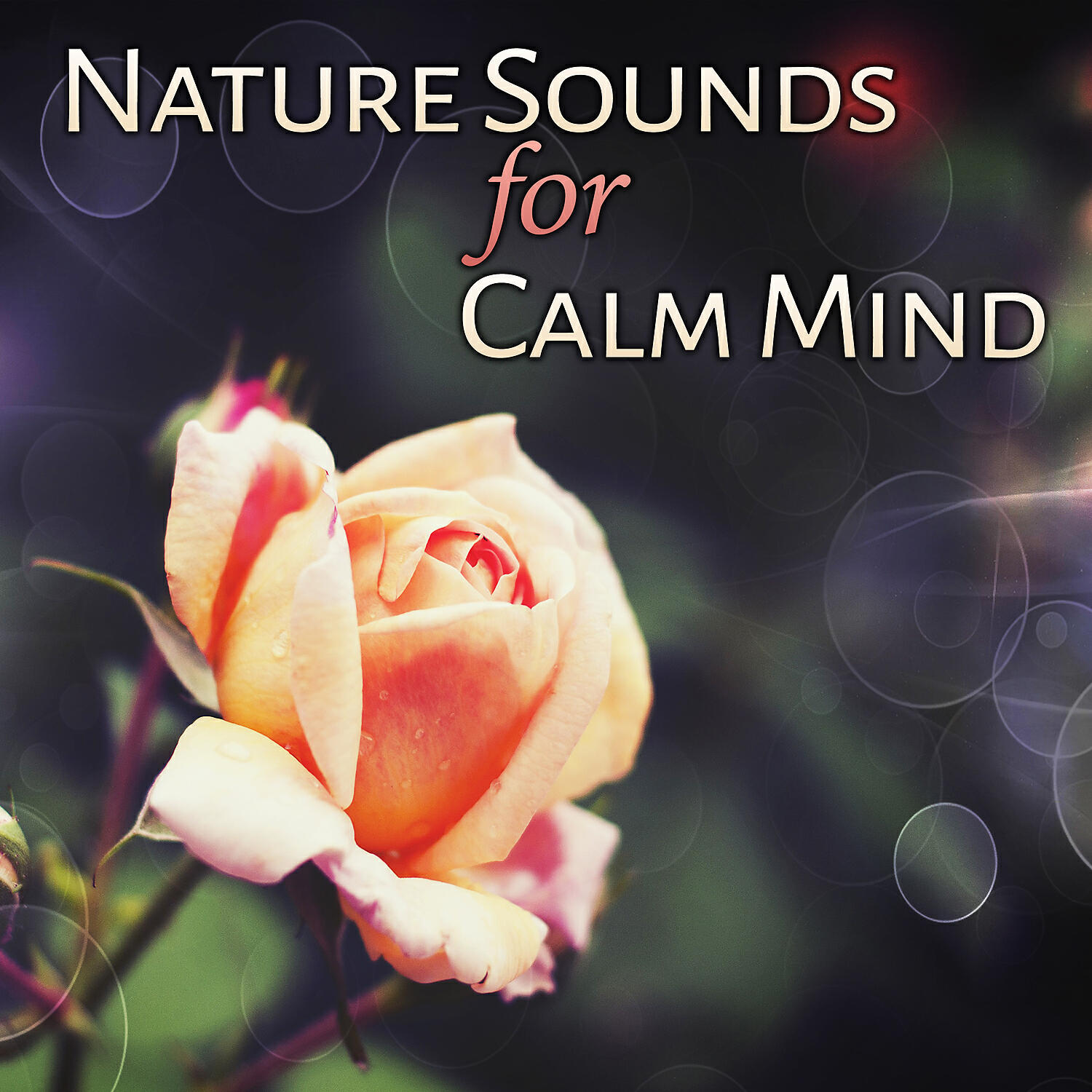 Healing Power Natural Sounds Oasis - Garden Sounds (Birds Tweeting)