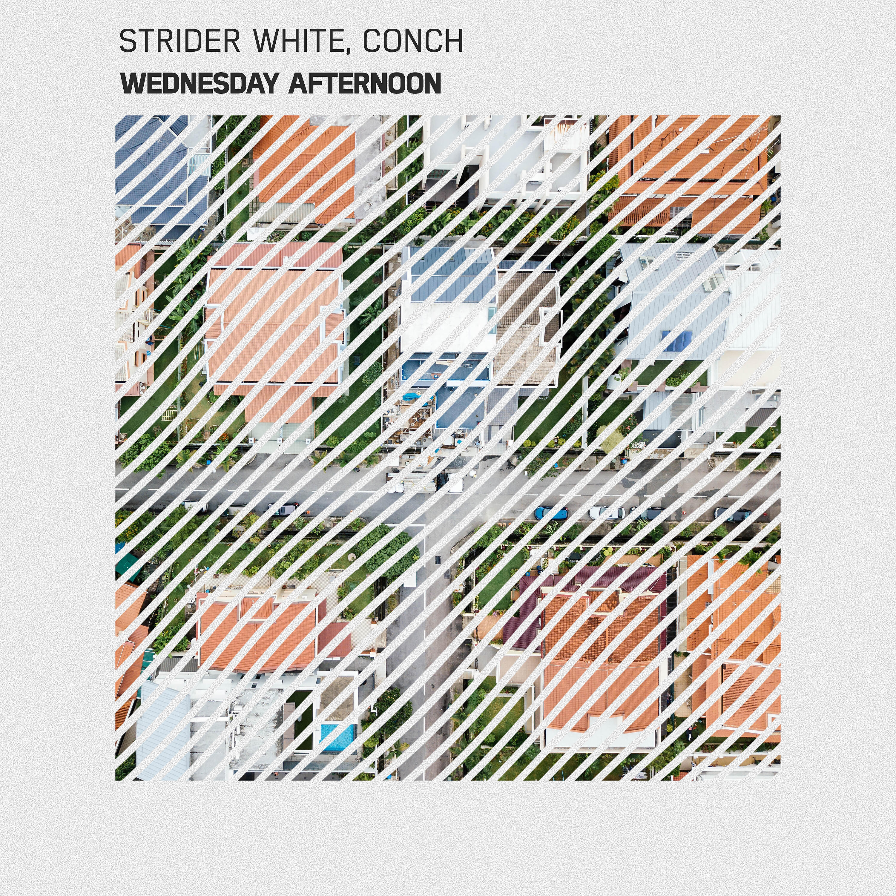 Strider White - Wednesday Afternoon