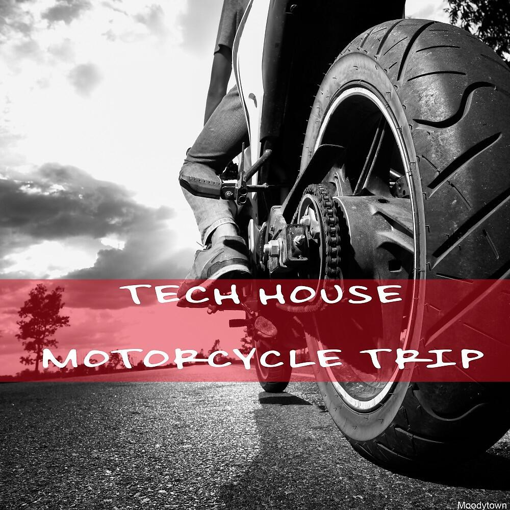 Herb Dean - Tycho