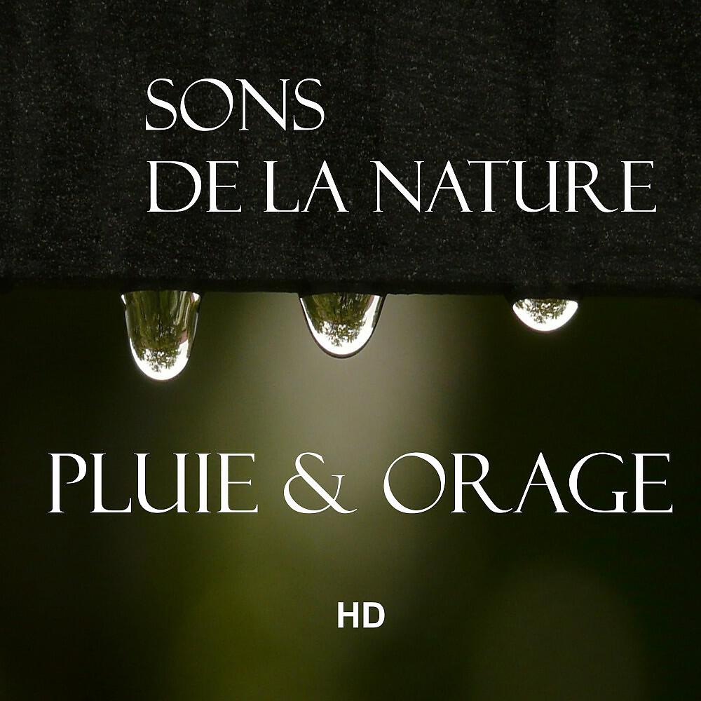 Sons De La Nature - Pluie la Nuit