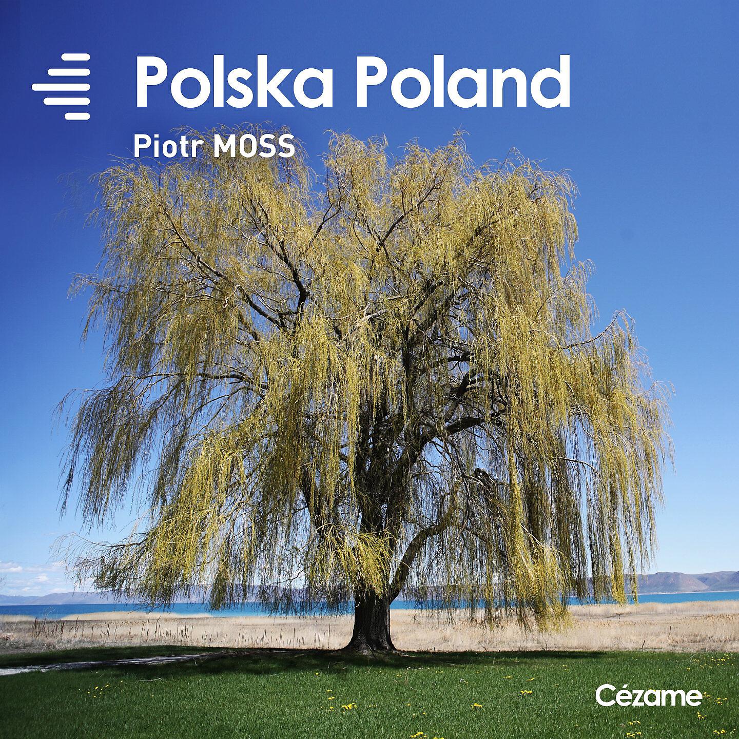 Piotr Moss - The Polish Plain