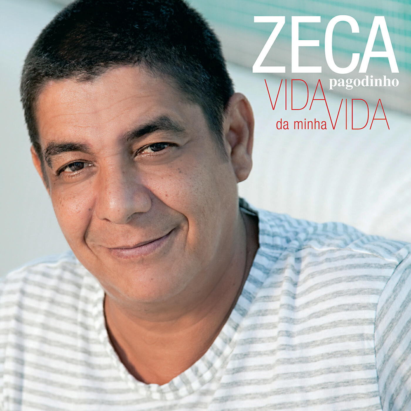 Zeca Pagodinho - Encanto Da Paisagem