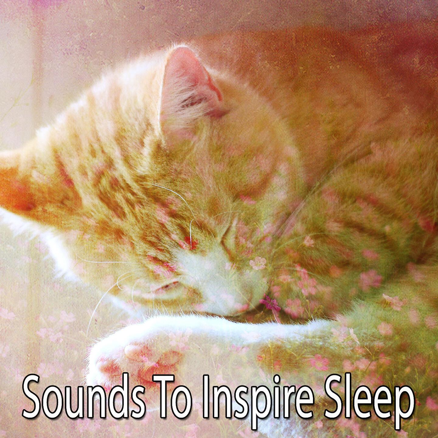 Natural White Noise For Babies - Bones For Thought