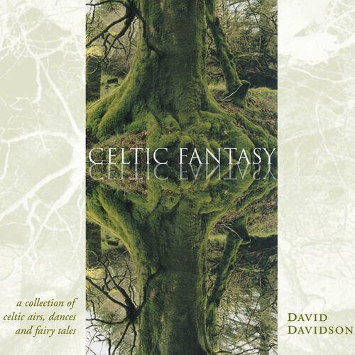 David Davidson - Fields Of The Heart (Celtic Fantasy Album Version)