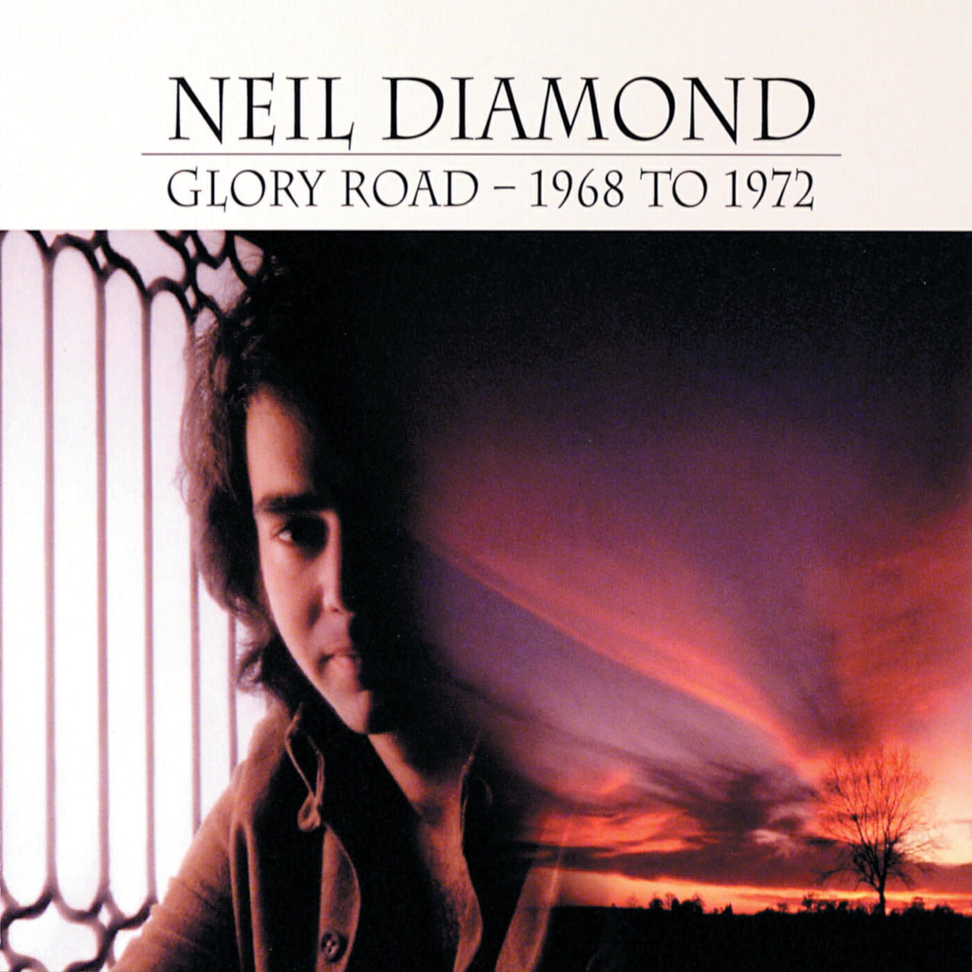 Neil Diamond - Song Sung Blue (Single Version)