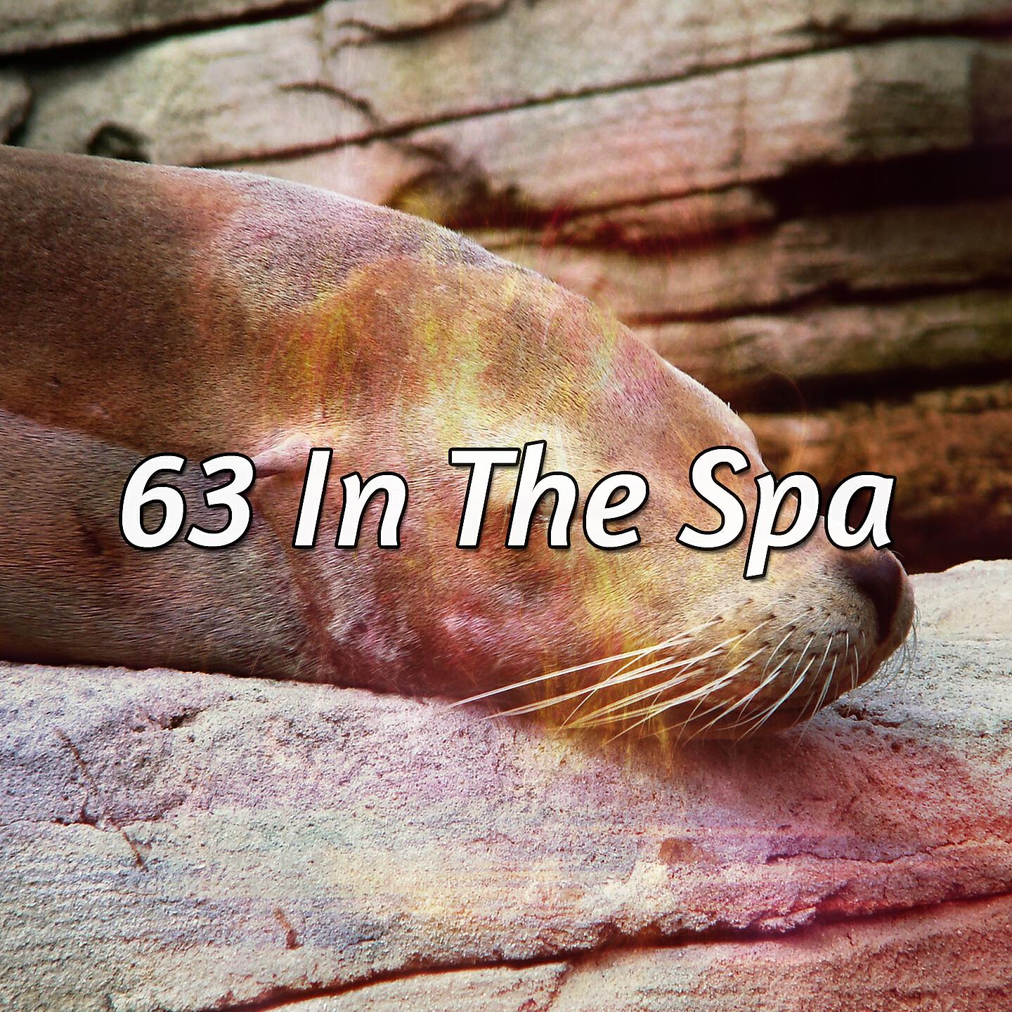 Best Relaxing SPA Music - Oscilating Relaxation