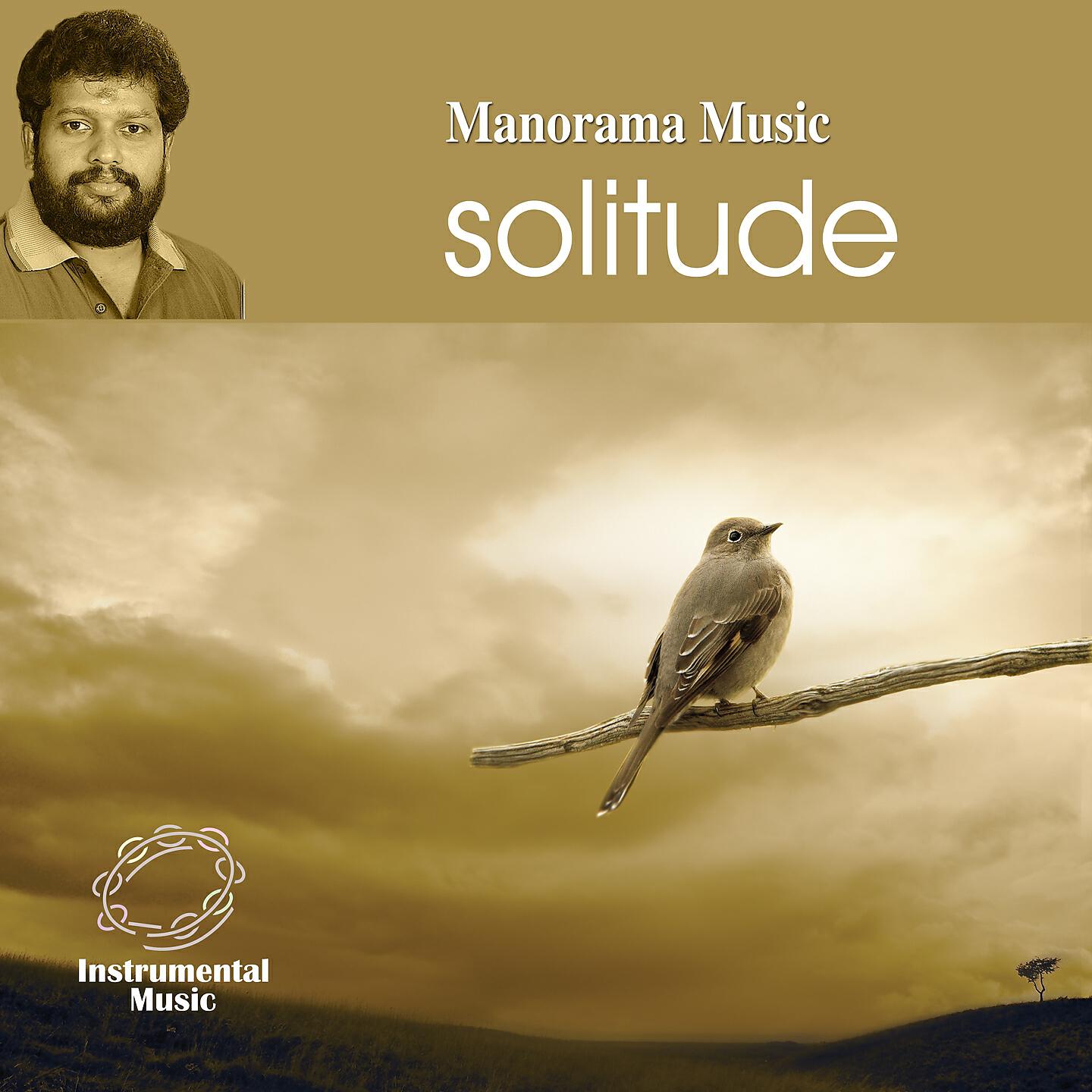 M. G. Anil - Thinking of You
