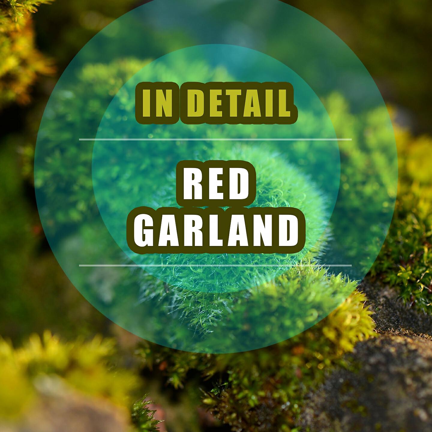 Red Garland - You Better go Now