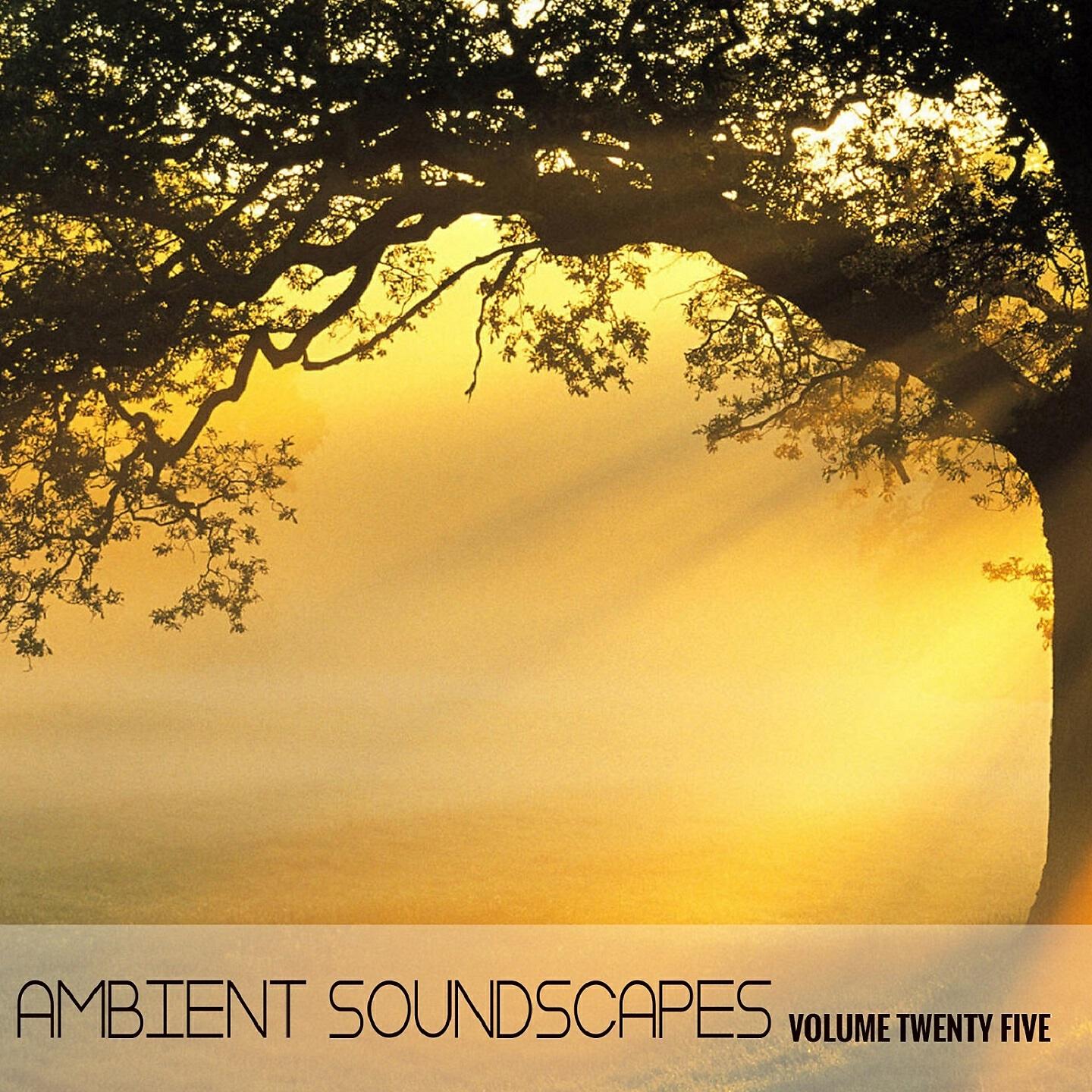 Terry Oldfield - Aum
