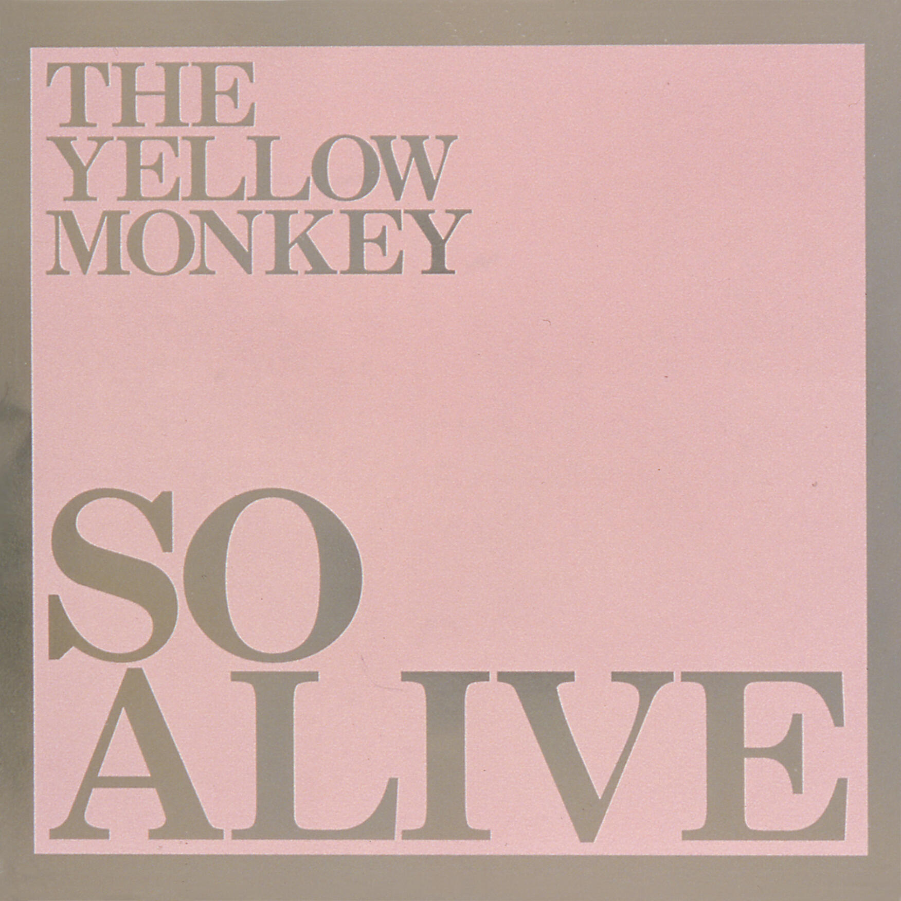 THE YELLOW MONKEY - Punch Drunkard (Live) [Remastered]