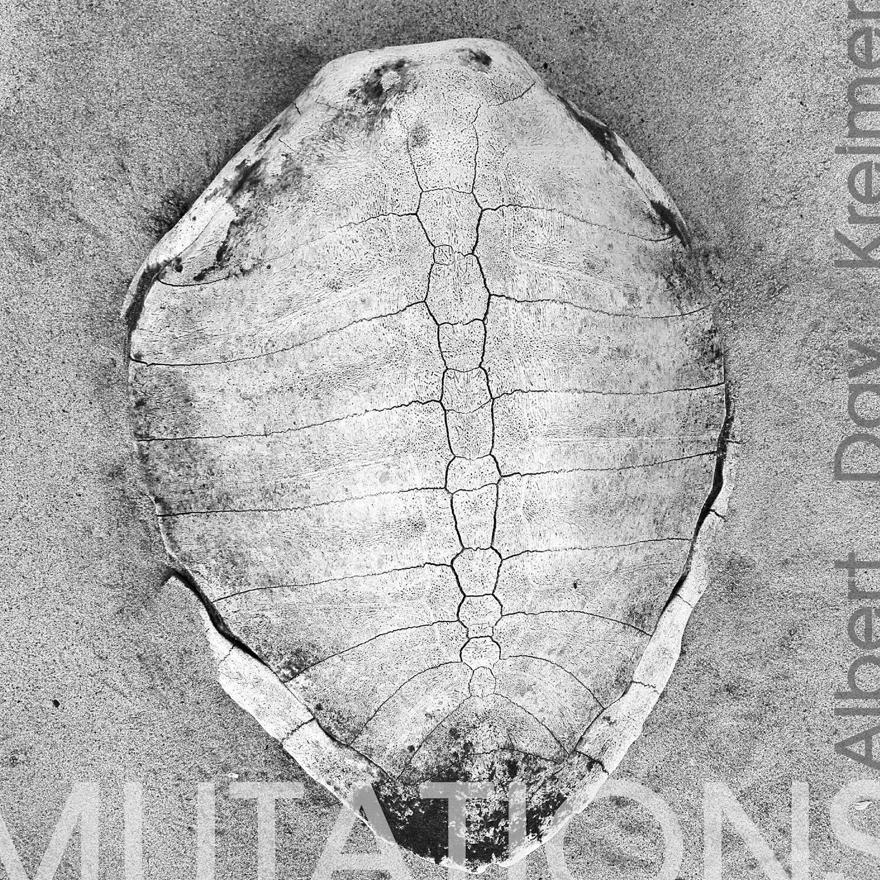 Marco Albert - Mutation 3