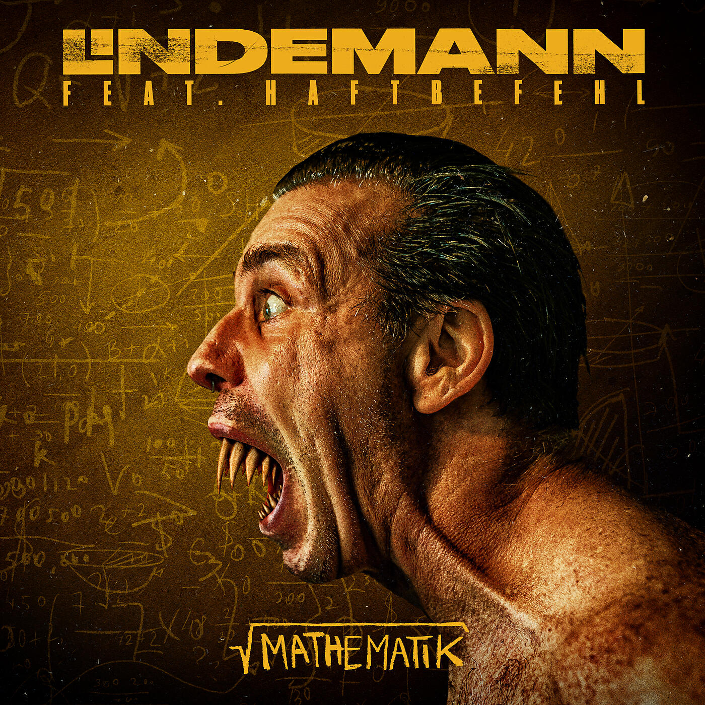 Lindemann - Mathematik (Remix (A4))