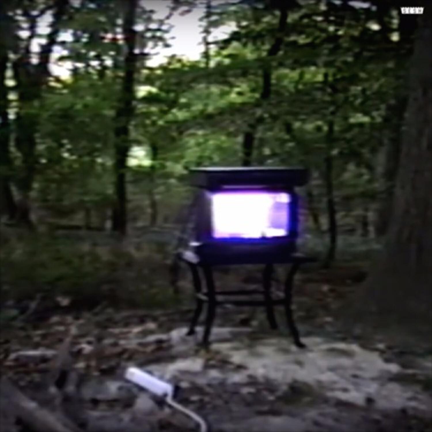 BONES - Branches