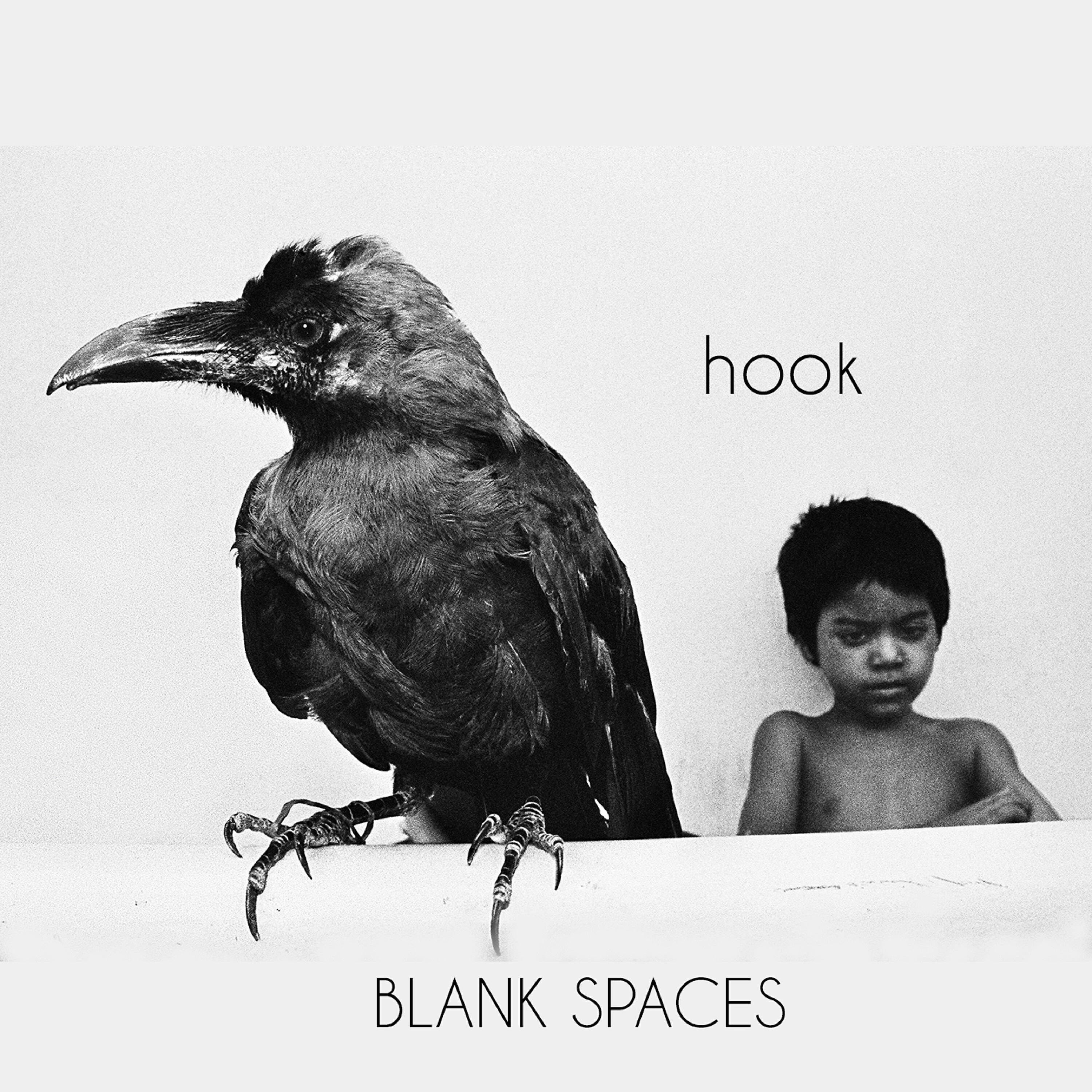 HOOK - Hoep