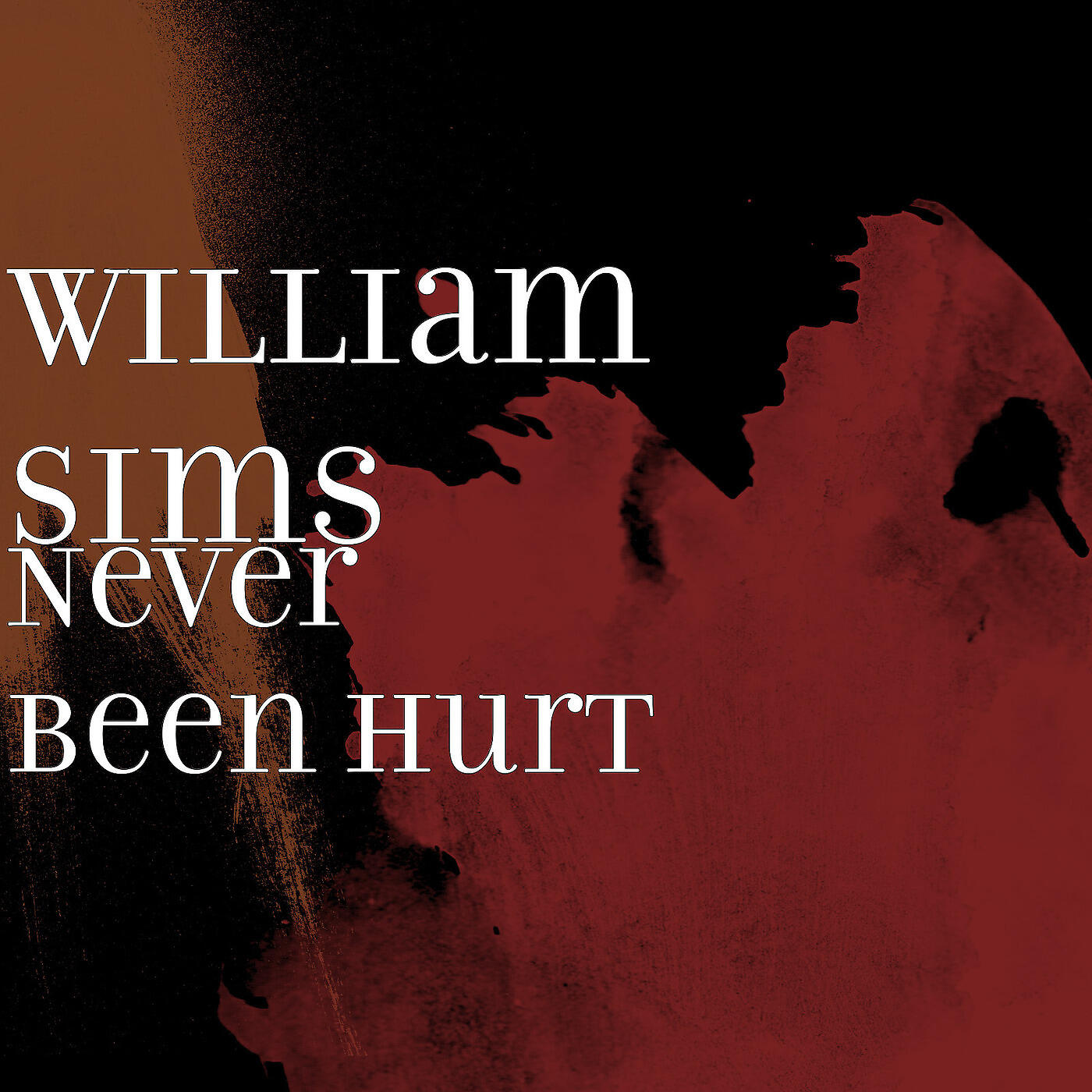 William Sims - Never Been Hurt