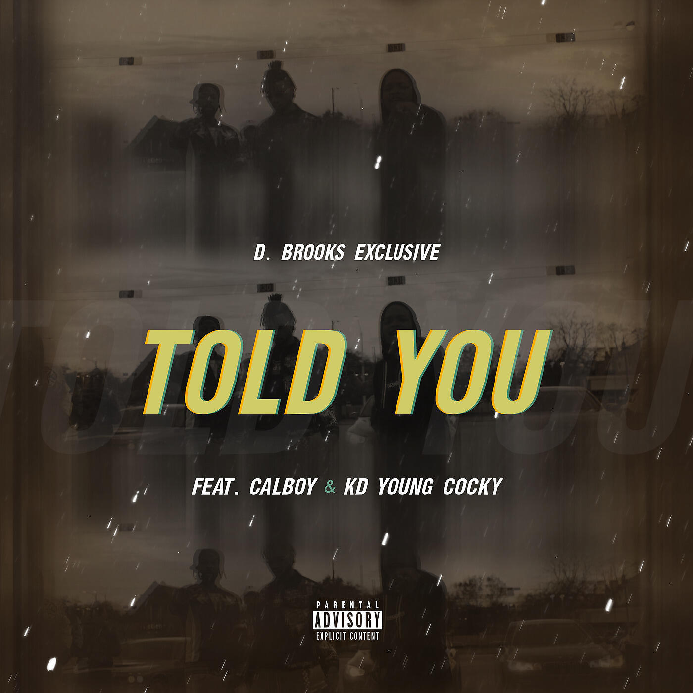 D. Brooks Exclusive - Told You