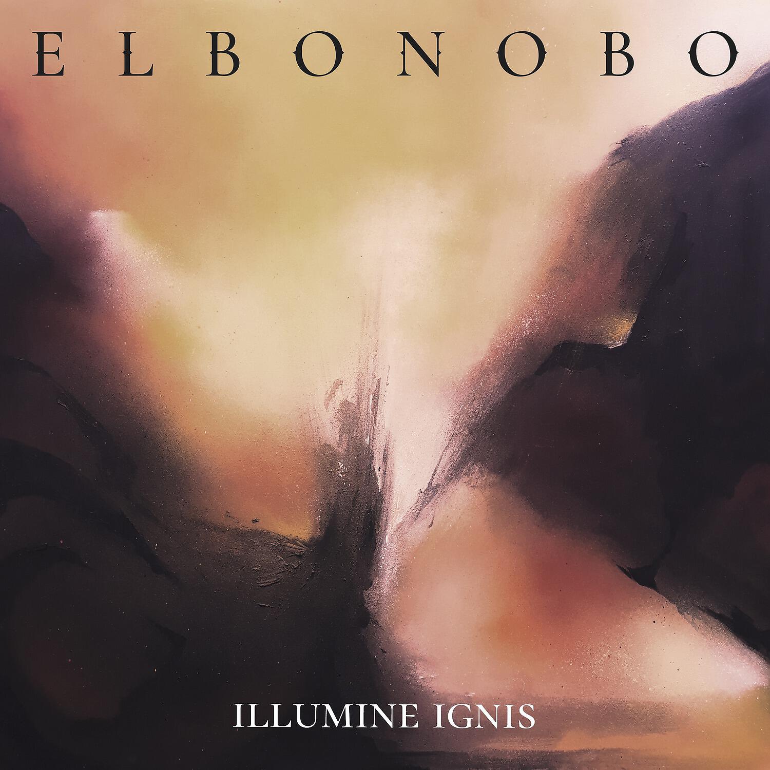 ElBonobo - Matisse