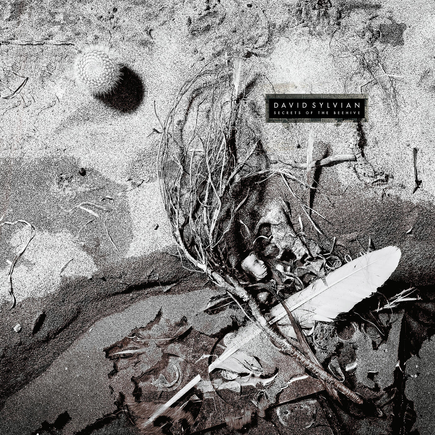 David Sylvian - September