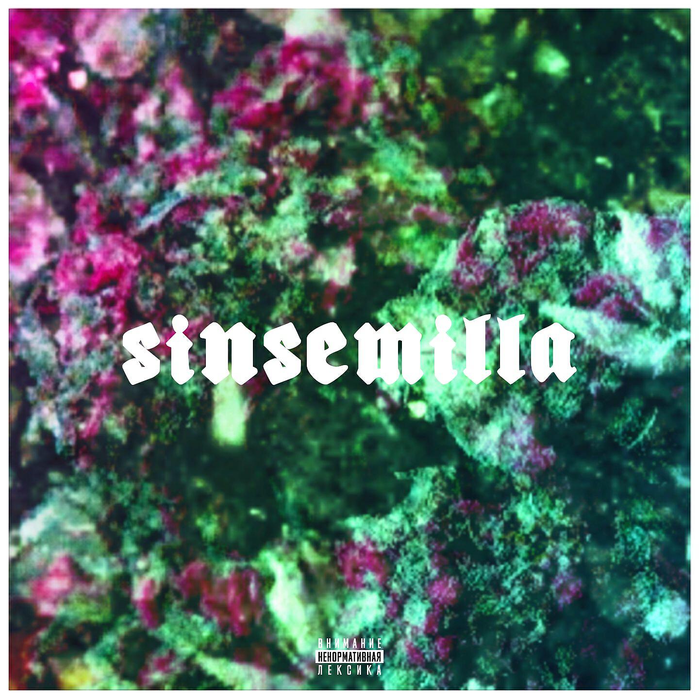 104 - Sinsemilla