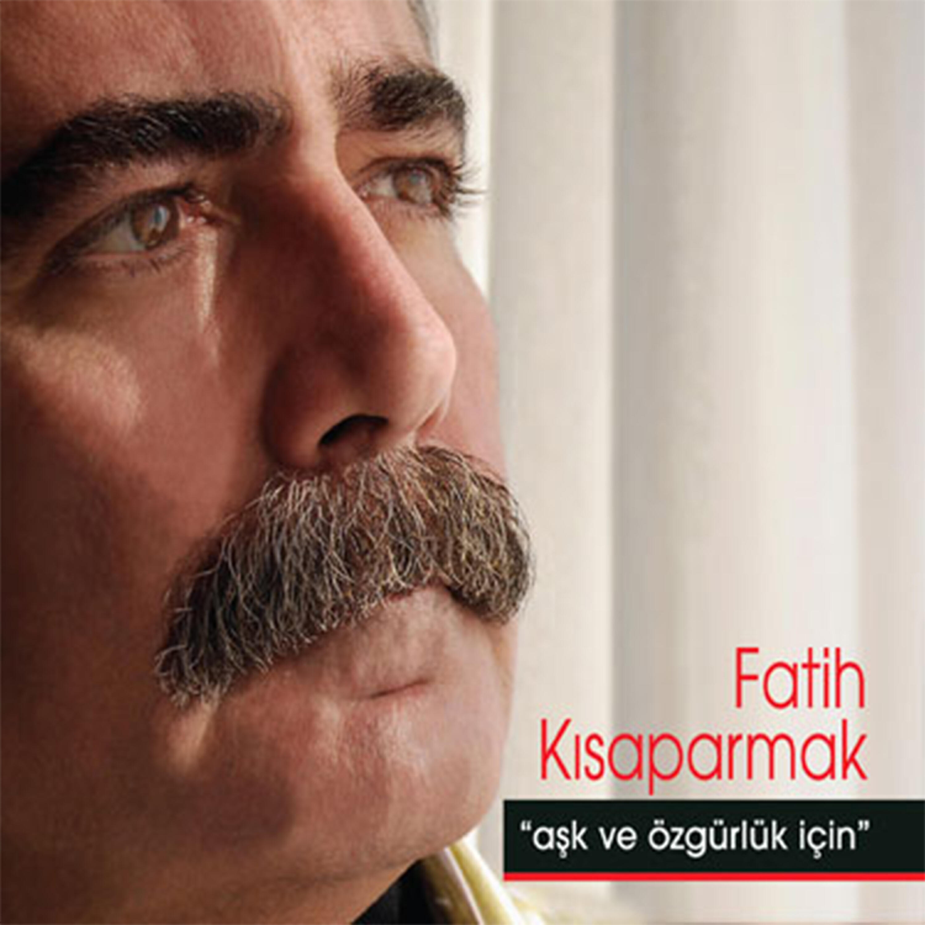 Fatih Kısaparmak - Kar Yağıyor Dışarda