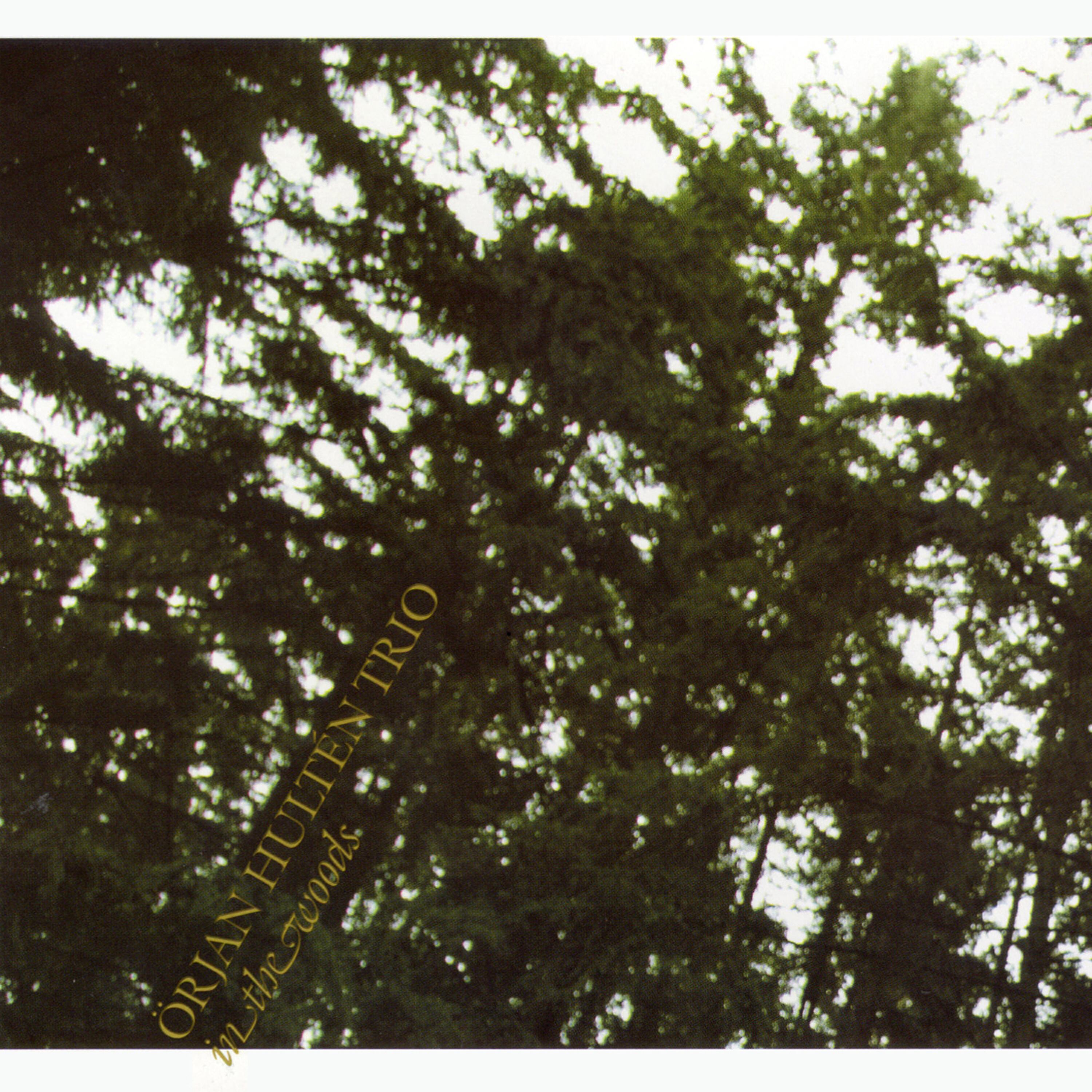 Örjan Hultén Trio - Melanchoholic (Freezing and Sweating)