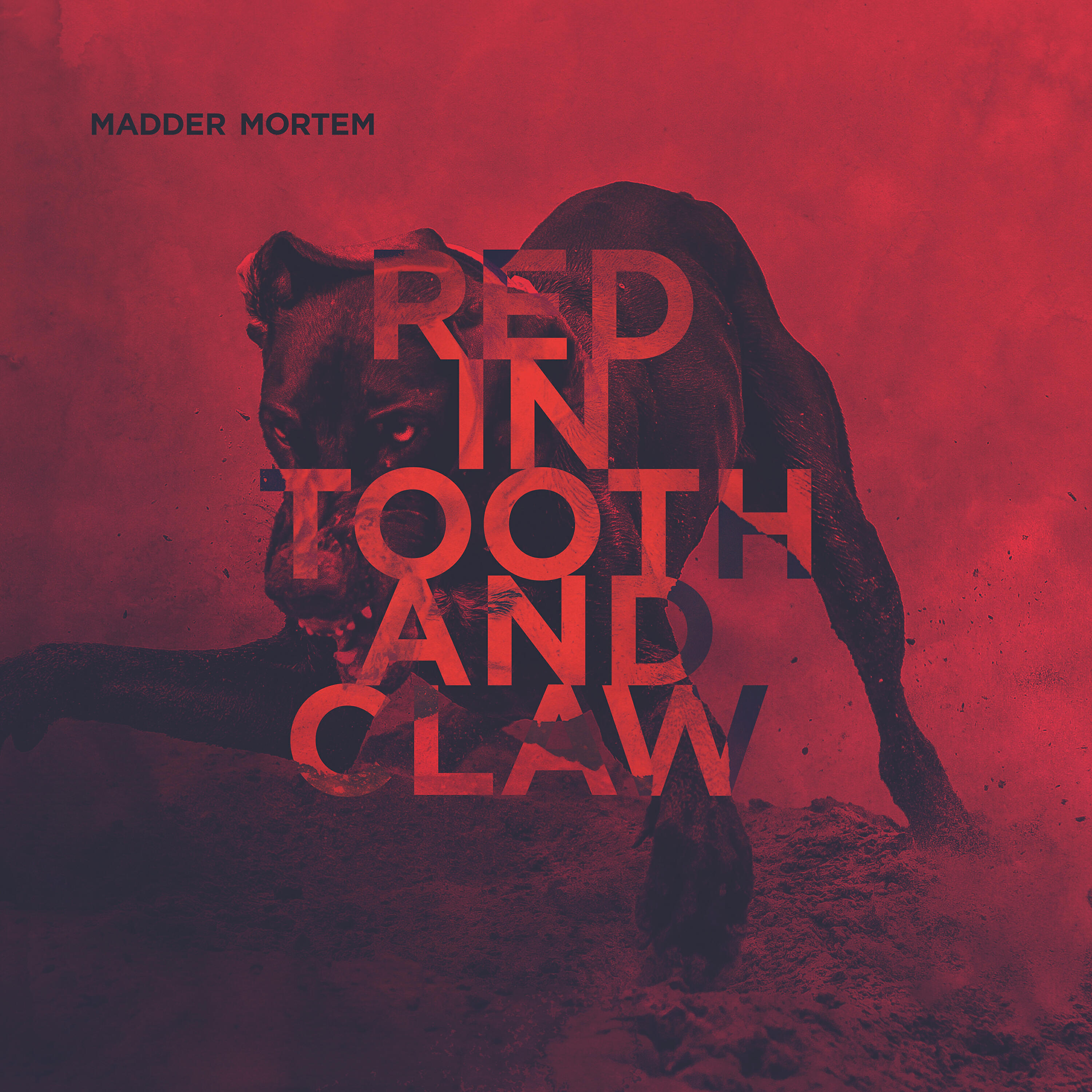 Madder Mortem - The Whole Where Your Heart Belongs