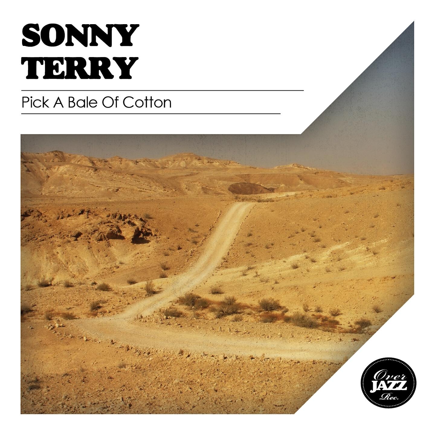 Sonny Terry - Whoopin' the Blues (Remastered)