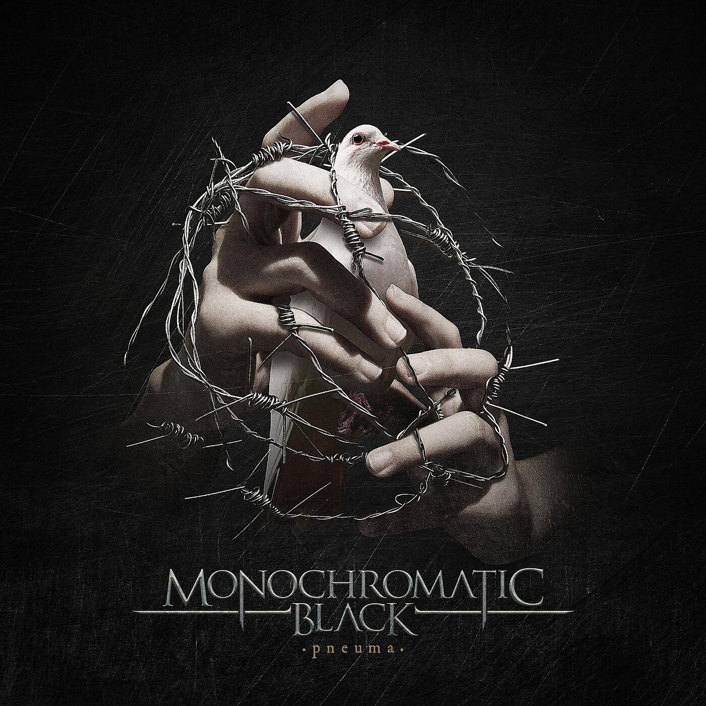 Monochromatic Black - Dream Catcher